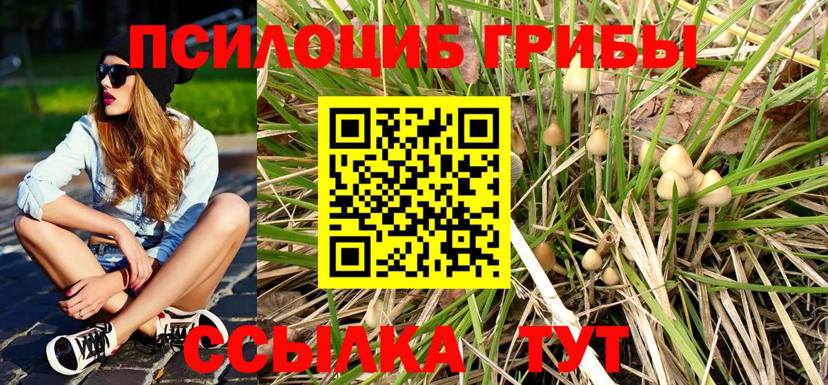 Ковров  Галлюциногенные грибы прущие грибы  Вход с VPN 
